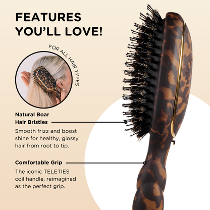 Boar Brush - Tortoise